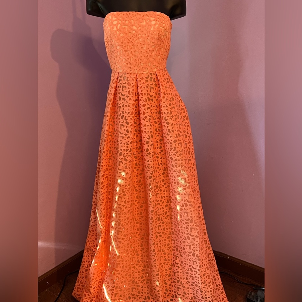 Beautiful NWT Coral Floor Length Mikael Aghal Dress. Size 0. Prom